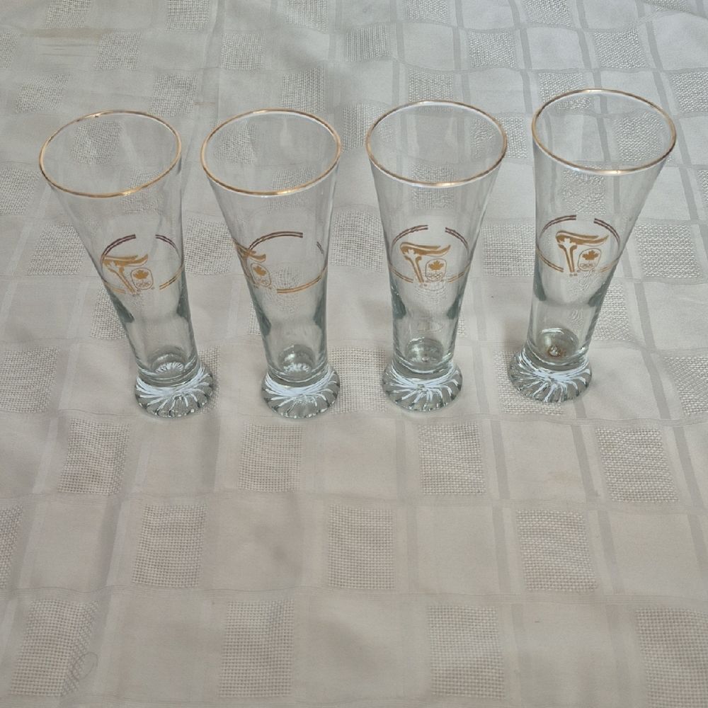 Elegant Gold Rimmed Pilsner Glass Set